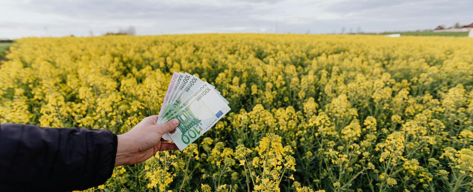 How to Make an Extra $1,000 a Month in 2026 [15 Realistic Strategies]