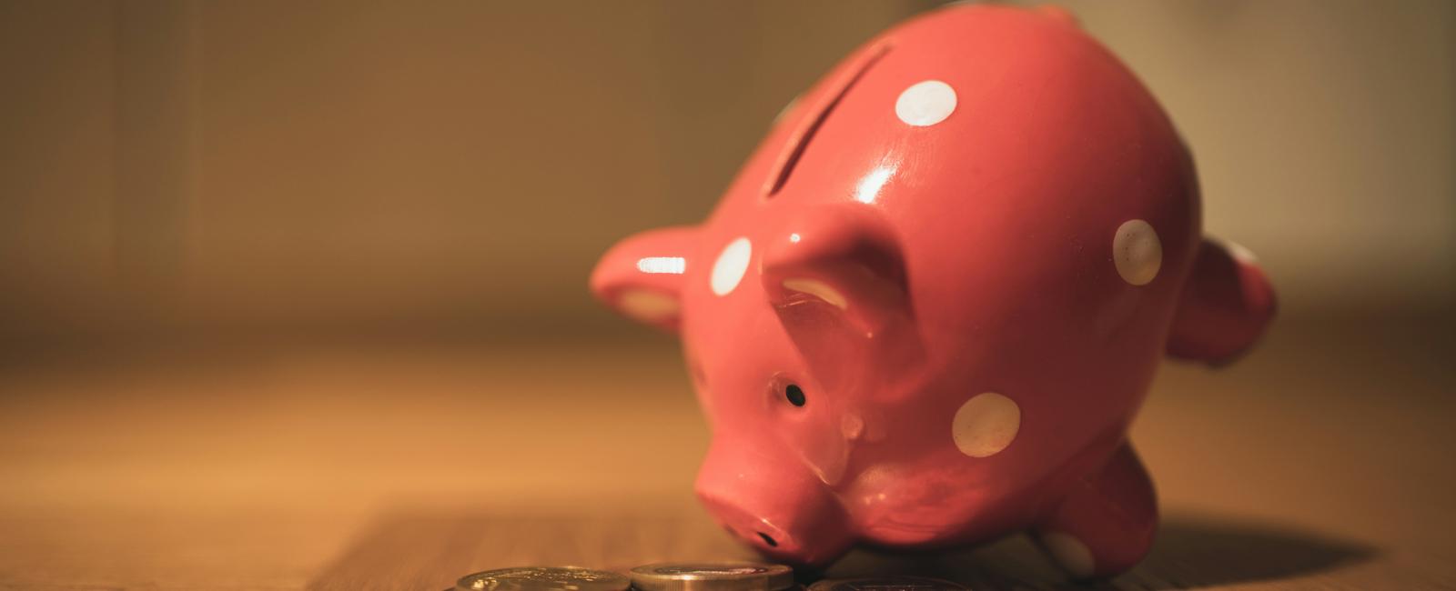 Best Savings Accounts in 2026 [High-Yield vs. Traditional vs. Money Market]