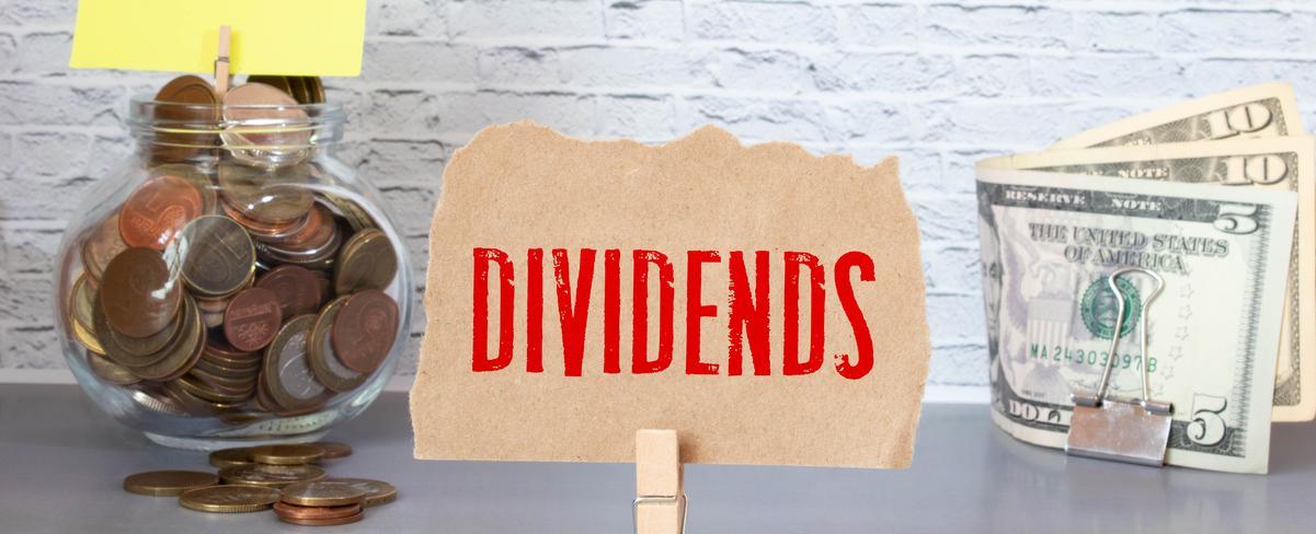 Vanguard High Dividend Yield Index Fund (VYM) 2025 Review [Performance, Portfolio, and Investor Insights]