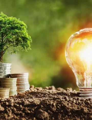 Afriprise Investment Plc Q2 2025 Results [Record Profit Growth and Expanding Equity Portfolio Signal Investor Confidence]