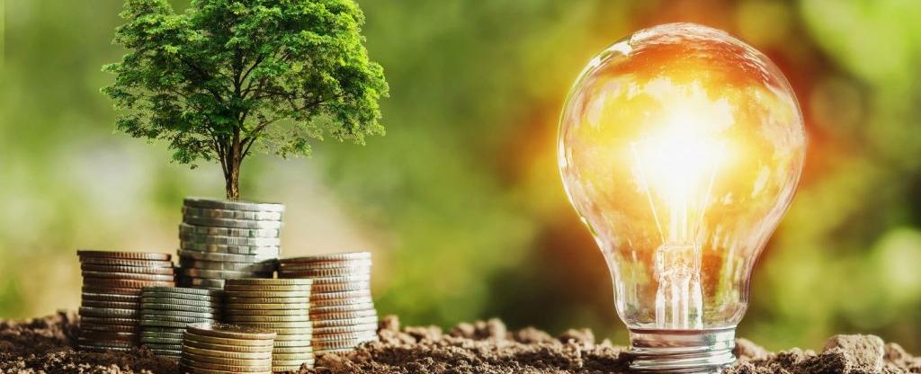 Afriprise Investment Plc Q2 2025 Results [Record Profit Growth and Expanding Equity Portfolio Signal Investor Confidence]